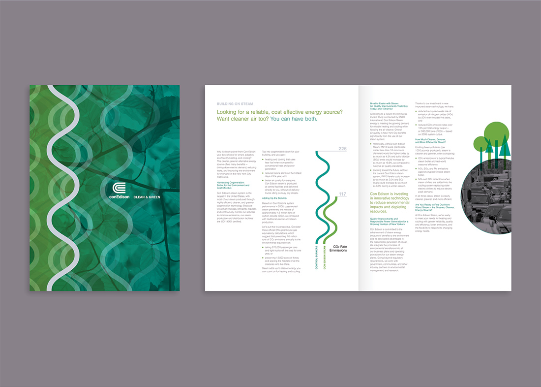 Con Ed Steam Environmental brochure