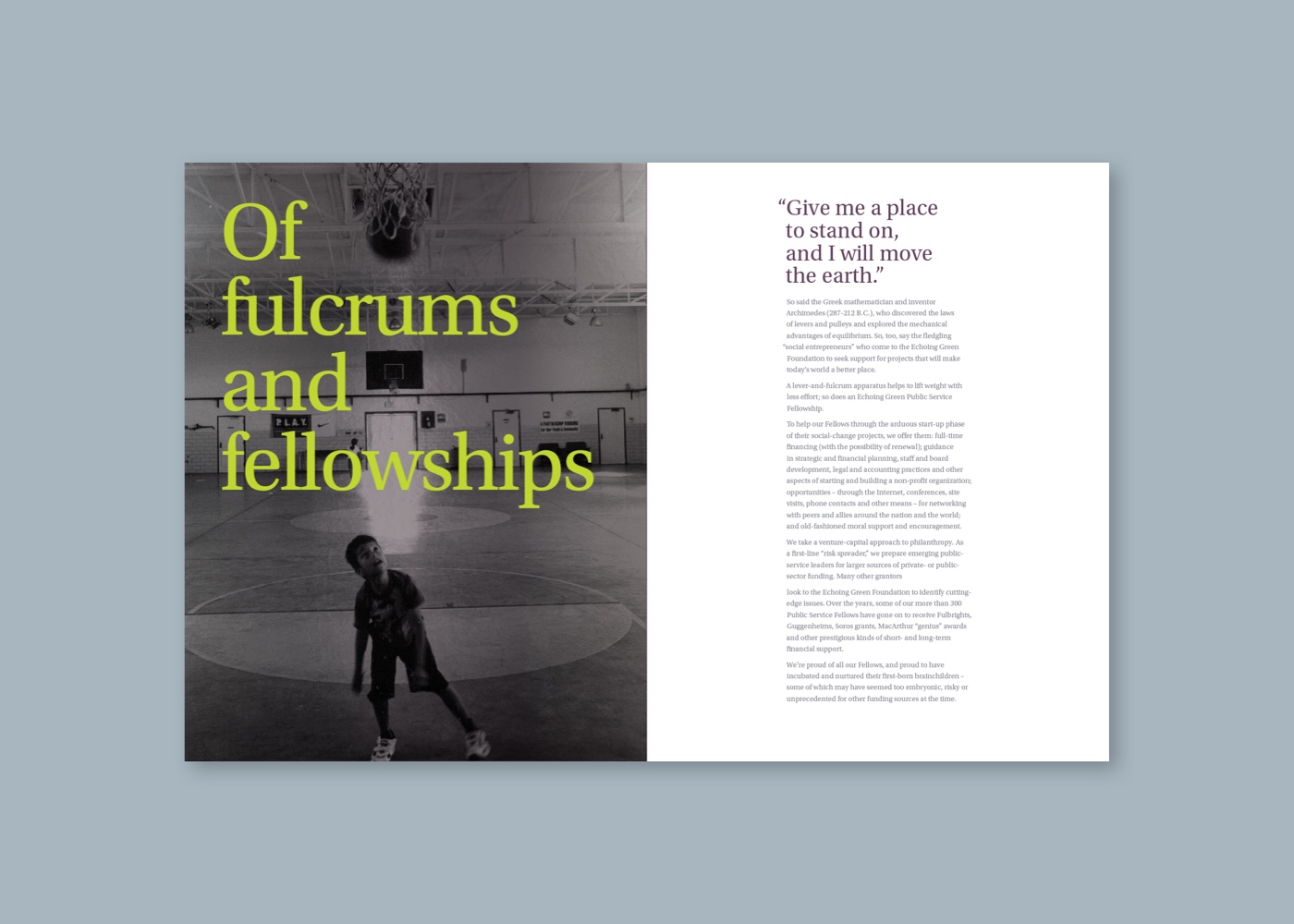 Echoing Green brochure