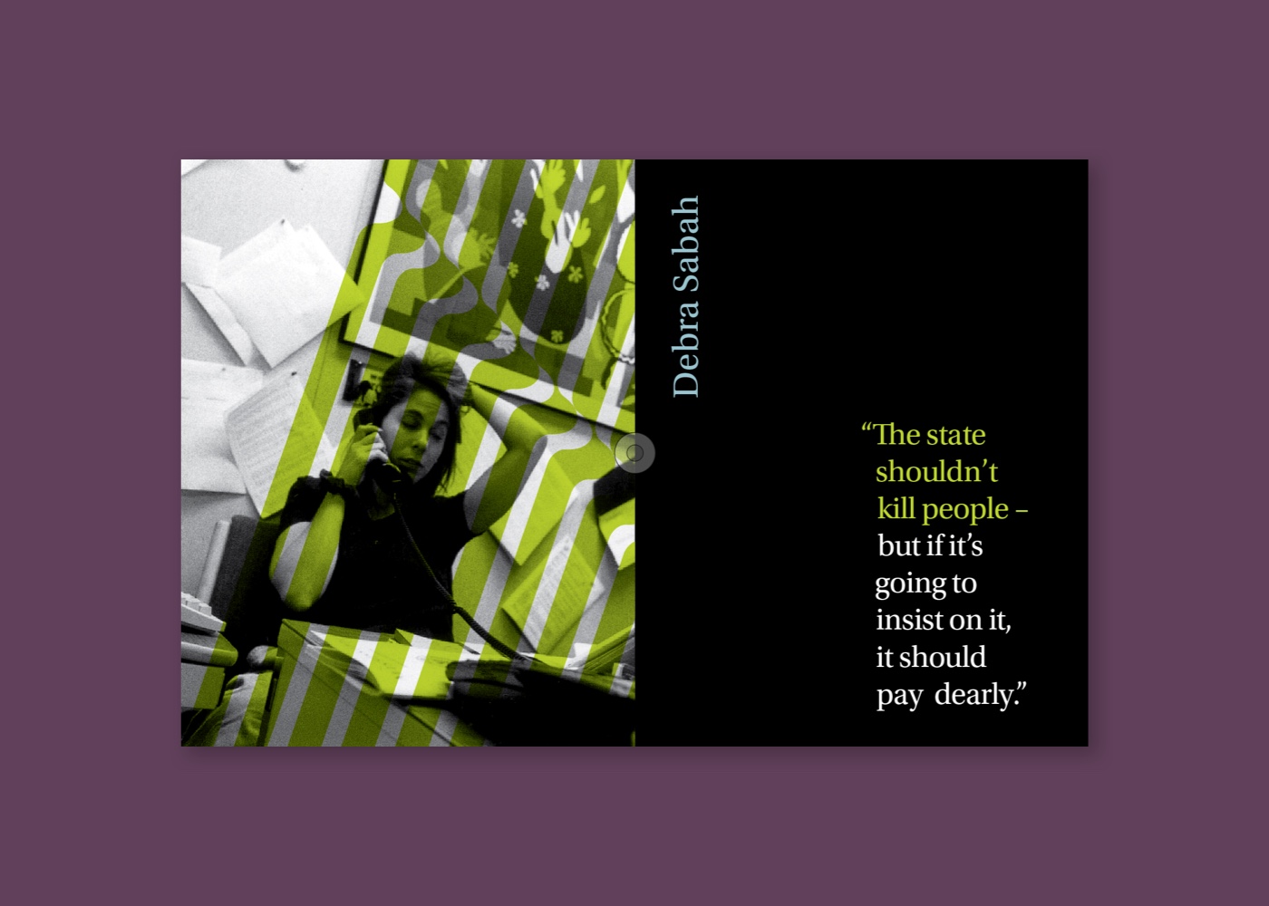 Echoing Green brochure