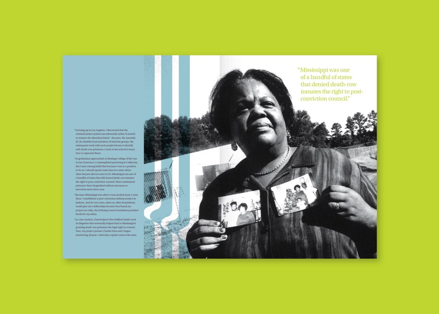 Echoing Green brochure