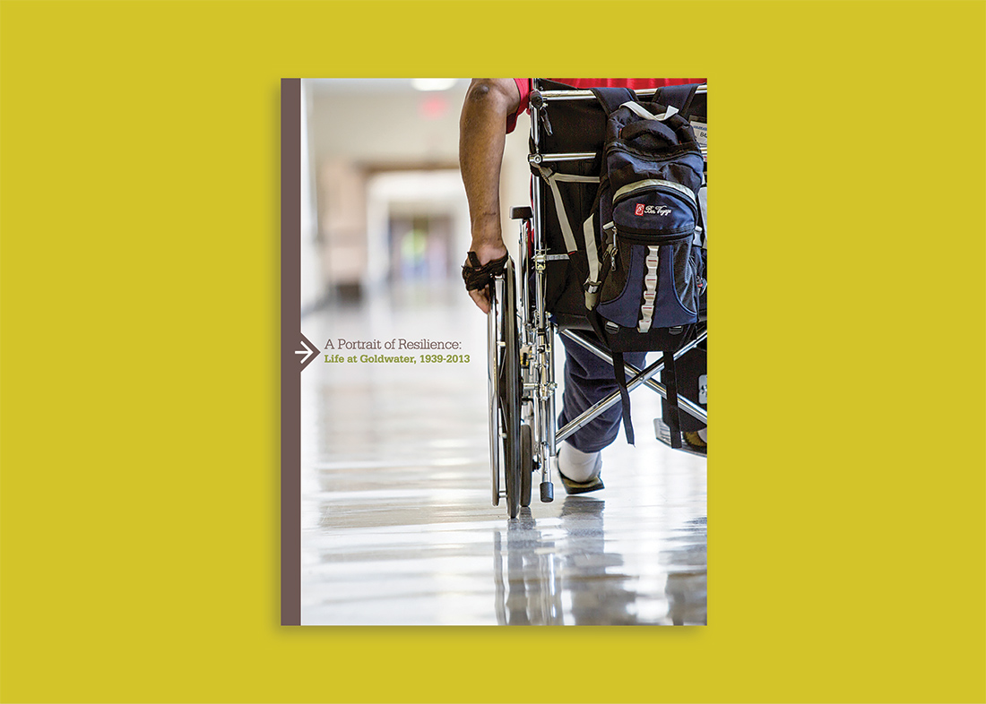 Goldwater Book cover