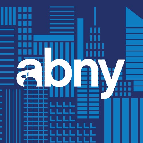 Association for a Better New York brand Project