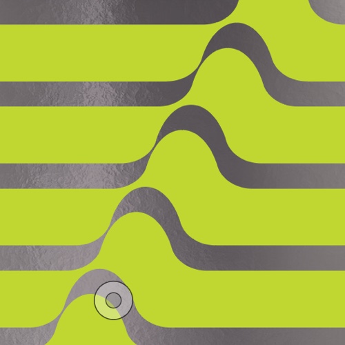 Echoing Green Brand and Brochure